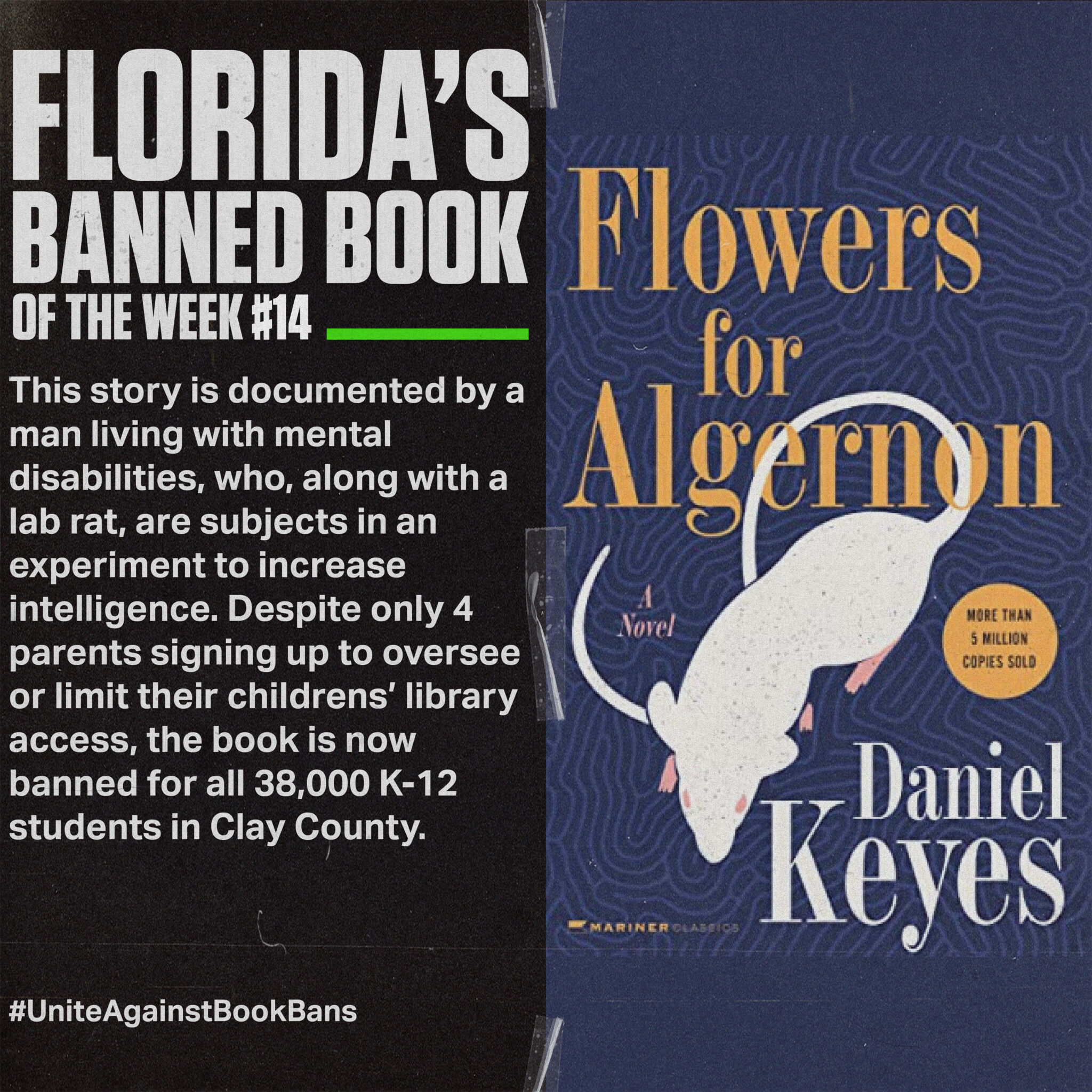 Banned Book of the Week "Flowers for Algernon Progress Florida